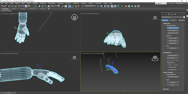 AnatoMe-3DS Max poly editing interface