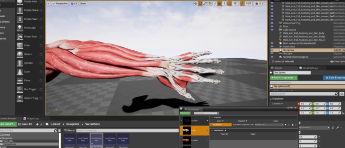 AnatoMe-Unreal Engine editor window